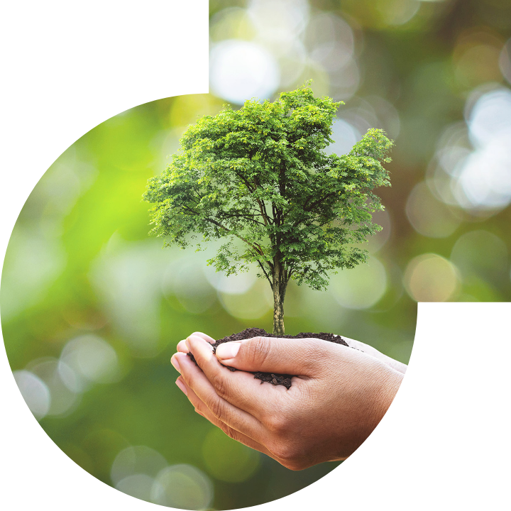 关怀人类、文化、环境与社会